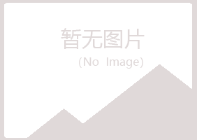 仙桃山柏服务有限公司